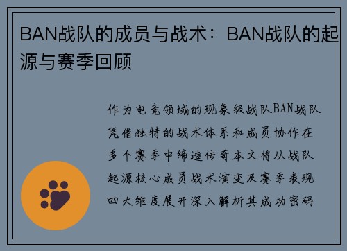BAN战队的成员与战术：BAN战队的起源与赛季回顾